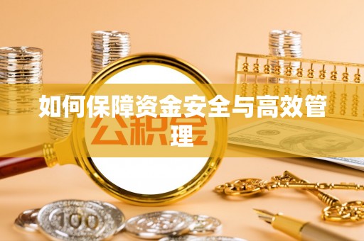 两江新区如何保障资金安全与高效管理