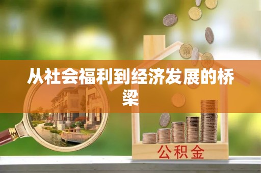 两江新区从社会福利到经济发展的桥梁