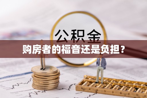 两江新区购房者的福音还是负担？