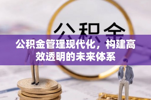两江新区公积金管理现代化，构建高效透明的未来体系