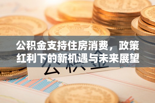 两江新区公积金支持住房消费，政策红利下的新机遇与未来展望