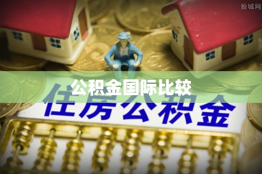 两江新区公积金国际比较