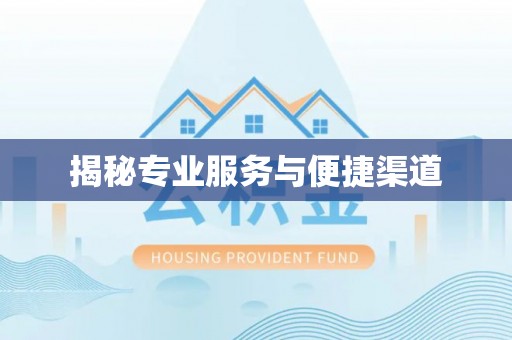 两江新区揭秘专业服务与便捷渠道