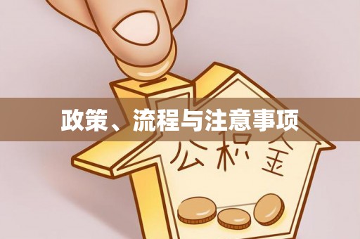 两江新区政策、流程与注意事项