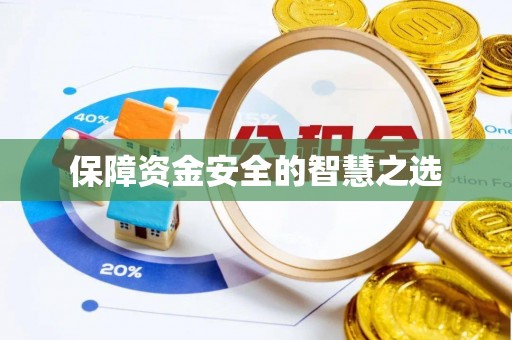 两江新区保障资金安全的智慧之选