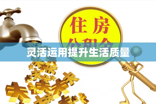 两江新区灵活运用提升生活质量