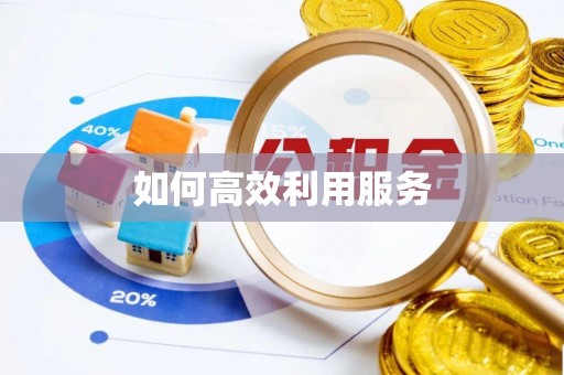 两江新区如何高效利用服务
