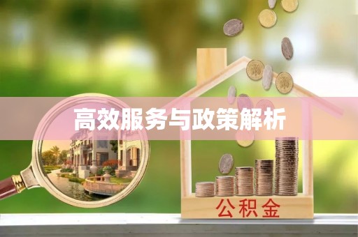 两江新区高效服务与政策解析