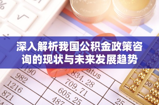 两江新区深入解析我国公积金政策咨询的现状与未来发展趋势