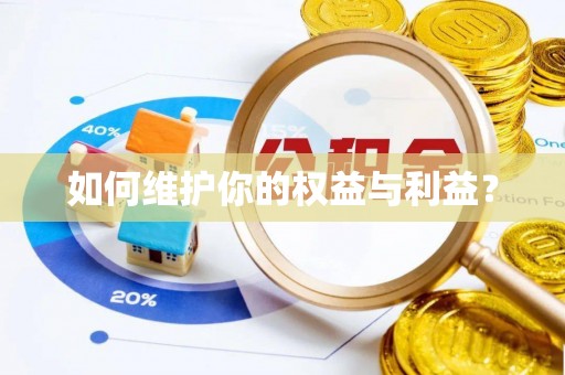 两江新区如何维护你的权益与利益？