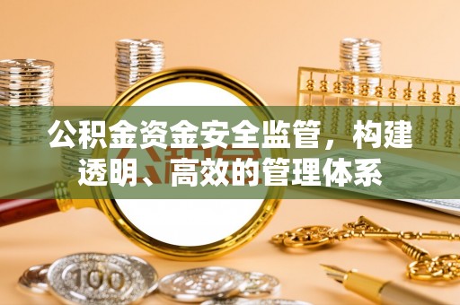 两江新区公积金资金安全监管，构建透明、高效的管理体系