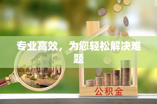 两江新区专业高效，为您轻松解决难题