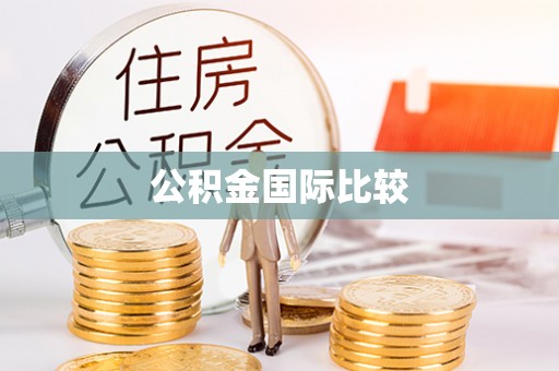 两江新区公积金国际比较
