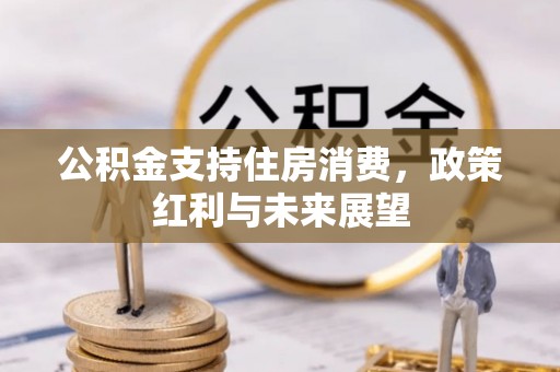 两江新区公积金支持住房消费，政策红利与未来展望