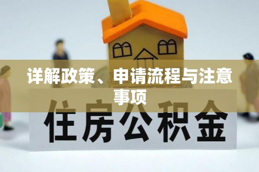 两江新区详解政策、申请流程与注意事项