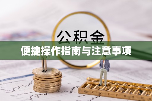两江新区便捷操作指南与注意事项