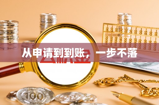 两江新区从申请到到账，一步不落