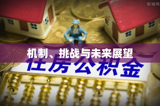 两江新区机制、挑战与未来展望